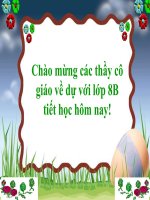 Tiết 49. Các trường hợp đồng dạng của tam giác vuông