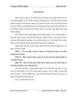 công tác kế toán tiêu thụ và xác dịnh kết quả kinh doanh của công ty cổ phần dược đức minh hưng yên