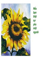 Nếu bạn thật sự yêu một người