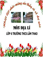 Sự chuyển động của các dòng biển
