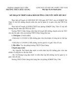 Kế hoạch BDCM hè 2013