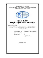 Báo cáo thực tập tốt nghiệp tại Công ty CP đầu tư  PT công nghệ