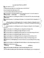 Bài ôn tập lớp 5