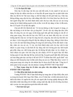 Tieu luan QLGD to chuc GVCN