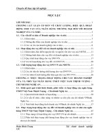 Đẩy mạnh và nâng cao hiệu quả hoạt động cho vay đối với doanh nghiệp vừa và nhỏ tại ngân hàng TMCP Việt Nam Thịnh Vượng chi nhánh Nghệ An