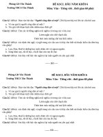 ĐỀ THI VÀO LỚP CHỌN KHỐI 6 MÔN TIẾNG VIỆT LỚP 5