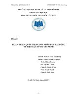 TIỂU LUẬN MÔN PHÁT TRIỂN THAY ĐỔI TỔ CHỨC HOÀN THIỆN QUẢN TRỊ NGUỒN NHÂN LỰC TẠI CÔNG TY ĐIỆN LỰC TP HỒ CHÍ MINH