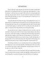 “ hoàn thiện kế toán bán hàng và xác định kết quả kinh doanh tại công ty cổ phần xuất nhập khẩu và thương mại đức an”