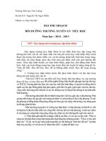 bài thu hoạch trong hè