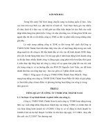 Báo cáo thực tập tổng hợp tại công ty TNHH xuất nhập khẩu Thành Nam