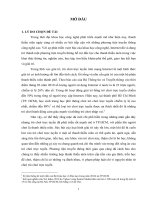 Báo cáo khoa học : Ảnh hưởng của trò chơi trực tuyến đối với thanh thiếu niên ở TP.HCM hiện nay