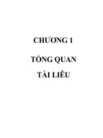 luận văn nghien cứu sử dụng nấm mốc trichoderma harzianum phong bệnh heo rũ cay dưa leo do pythiumsp