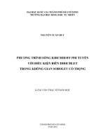 Phương trình sóng Kirchhoff phi tuyến với điều kiện biên Dirichlet trong không gian Sobolev có trọng