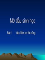bài giảng sinh học6 bài 1