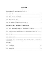 tiểu luận môn quản trị kinh doanh quốc tế hiệp định tpp – thực trạng và giải pháp