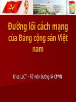 Đường lối Cách mạng của Đảng CSVN