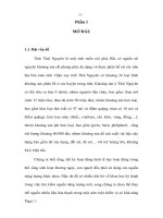 Tìm hiểu nguyên nhân và giải pháp gây ô nhiễm môi trường tại khu vực khai thác than Phấn Mễ  Thái Nguyên