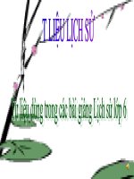 Những hình ảnh minh hoạ cho bộ môn Lịch Sử  6