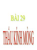 bài 29 thấu kính mỏng