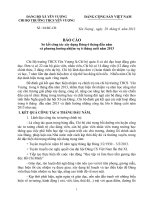 Bao cao so ket chi bo đảng