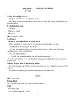 tự chọn ngữ văn 12