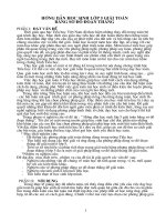 Sáng kiến kinh nghiệm Toán lớp 5