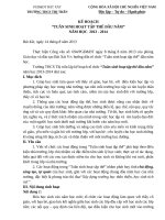 kế hoạch thực hiện tuần sinh hoạt tập thể đầu năm học 2013 - 2-14