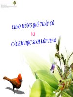 Bai 30 sinh 10 (thi giang)