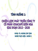 chiến lược công ty cổ phần vinacafé biên hoà giai đoạn 2013 - 2020