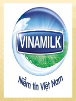 tiểu luận ma trận thị phần tăng trưởng bcg của vinamilk