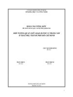 mối tương quan giữa bạo hành gia đình và trầm cảm ở thai phụ tại thành phố hồ chí minh