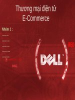 tiểu luận thương mại điện tử e-commerce tìm hiểu về dell