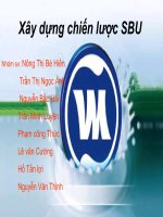 xây dựng chiến lược sbu cho các sản phẩm