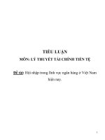 Tiểu luận: Hội nhập trong lĩnh vực ngân hàng ở Việt Nam hiện nay