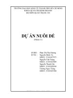 tiểu luận môn quản trị dự án dự án nuôi dế