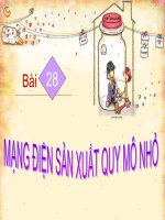 Mạng Điện Sản Xuất Quy Mô Nhỏ