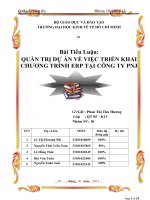 tiểu luận môn quản trị dự án quản trị dự án về việc triển khai chương trình erp tại công ty pnj