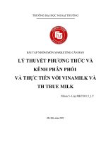 bài tập nhóm môn marketing căn bản lý thuyết phương thức và kênh phân phối và thực tiễn với vinamilk và th true milk