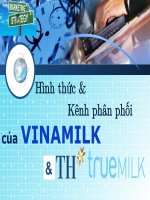 hình thức & kênh phân phối của vinamilk và th true milk