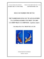 Báo cáo khoa học Thử nghiệm bổ sung sắc tố astaxanthin và canthaxanthin vào thức ăn cho cá chép nhật