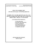 Nghiên cứu vấn đề chuyển giá của các doanh nghiệp FDI trên địa bàn thành phố Hồ Chí Minh thực trạng và giải pháp