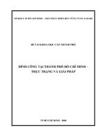 Báo cáo khoa học : Đình công tại thành phố Hồ Chí Minh - Thực trạng và giải pháp (Viện Khoa học Xã hội vùng Nam Bộ )