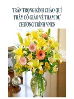 DẠY MÔN TOÁN THEO MÔ HÌNH VNEN