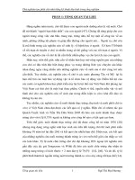 Báo cáo khoa học : Thử nghiệm tạo phôi chó nhà (canis domesticus) bằng kỹ thuật thụ tinh trong ống nghiệm