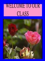 English 9 Unit 1- Leson 5 Language focus