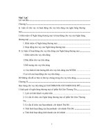 ĐỀ TÀI: Cho vay tiêu dùng ở Ngân hàng Sài gòn Thương Tín chi nhánh Thủ Đô, thực trạng và giải pháp