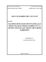 tạo dòng ruồi giấm chuyển gen uch -l1 nhằm ứng dụng trong nghiên cứu và hướng tới sàng lọc thuốc chữa bệnh parkinson