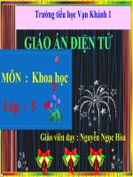 Sự nuôi và dạy con của một số loài thú