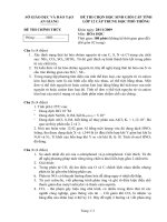 de thi hoa tinh an giang