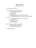 ảnh hưởng xã hội và các hiệu ứng - môn xã hội học